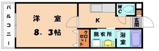 三苫駅 徒歩12分 1階の物件間取画像